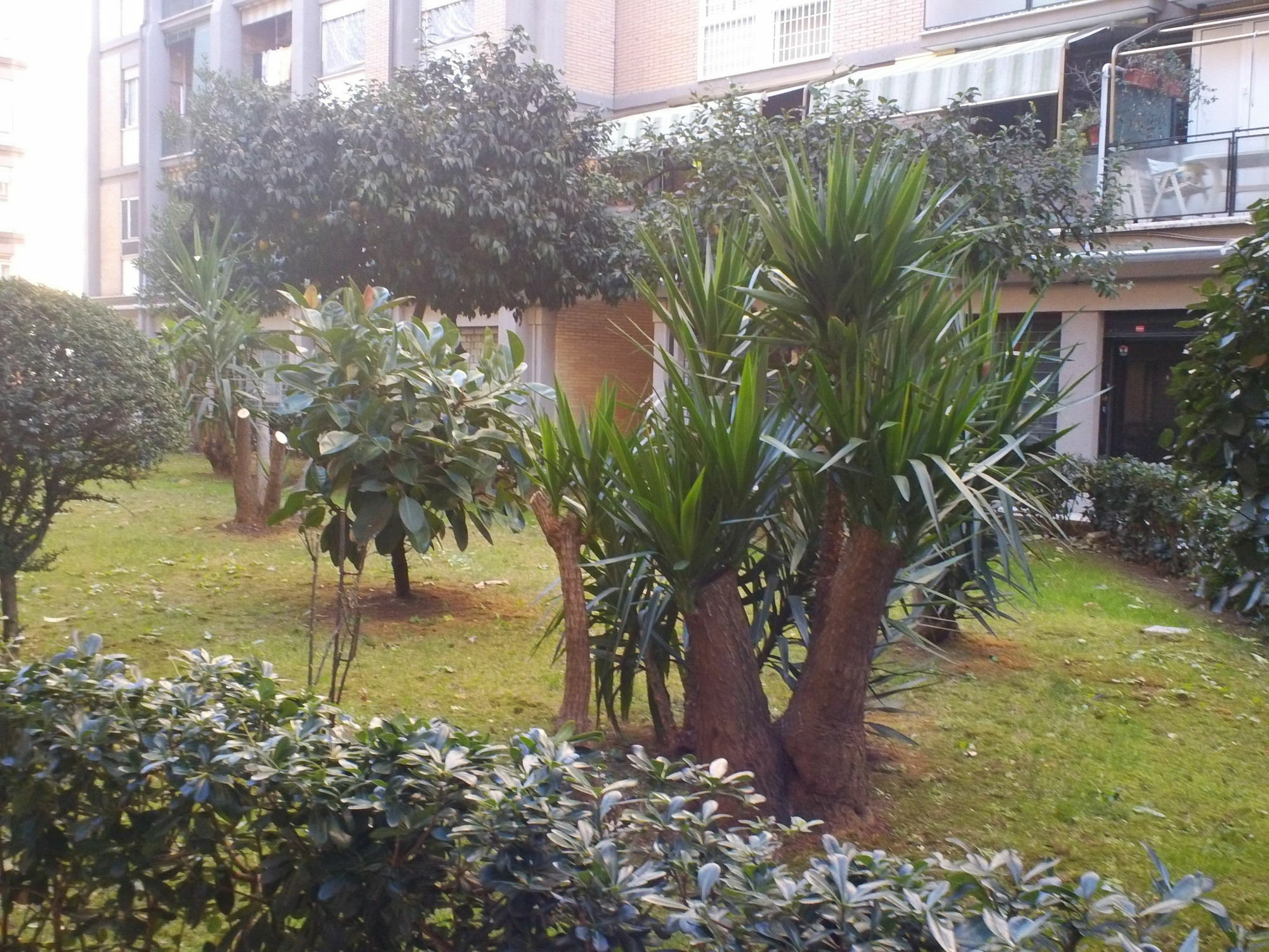 B&B Romantica Home מראה חיצוני תמונה